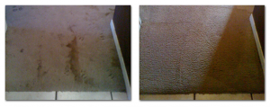 Carpet Cleaning Clermont Florida