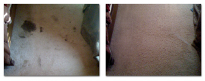 Carpet Cleaning Clermont Florida