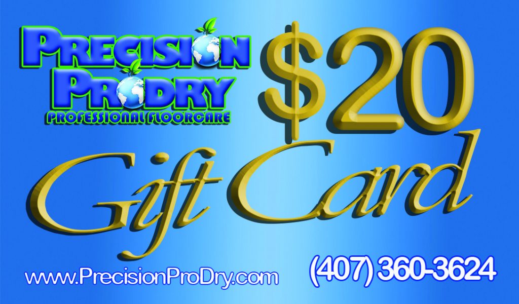 Precision Pro Dry Carpet Cleaning Clermont Florida Carpet Cleaning in