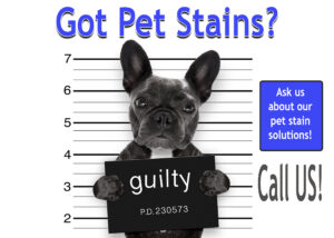 carpet cleaning Clermont Florida